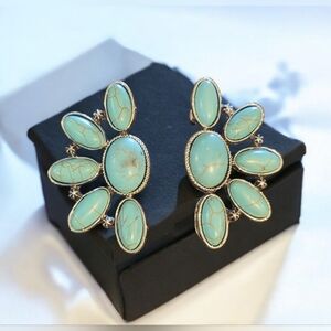 Women's Silver Plated Faux Turquoise Chunky Earrings
